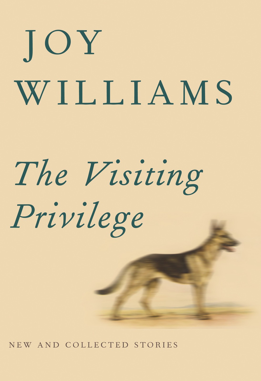 The Visiting Privilege (2015) Joy Williams